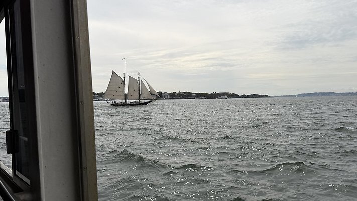 IMG 6689